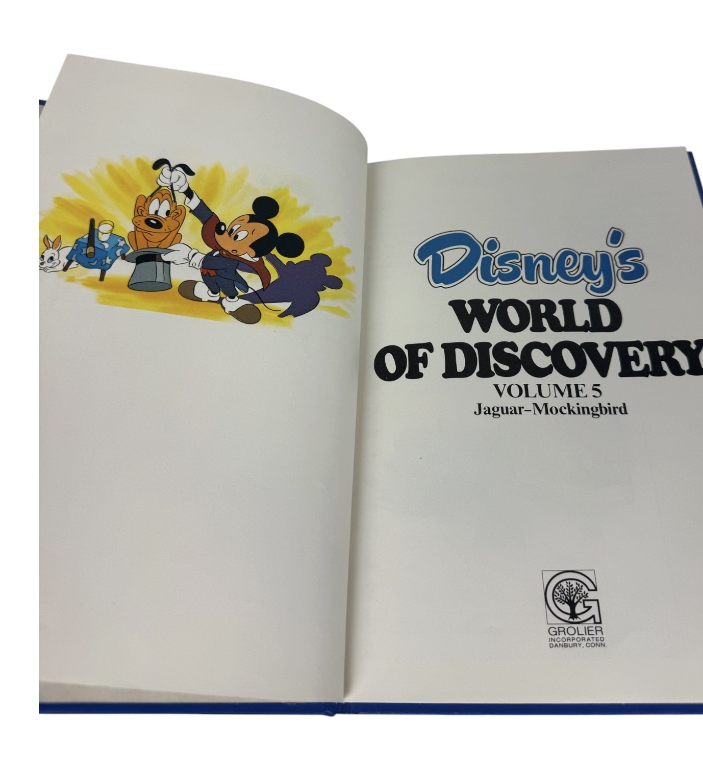 Disney’s World of Discovery Encyclopedia Set Vol 1-9 Grolier 1981 Vintage