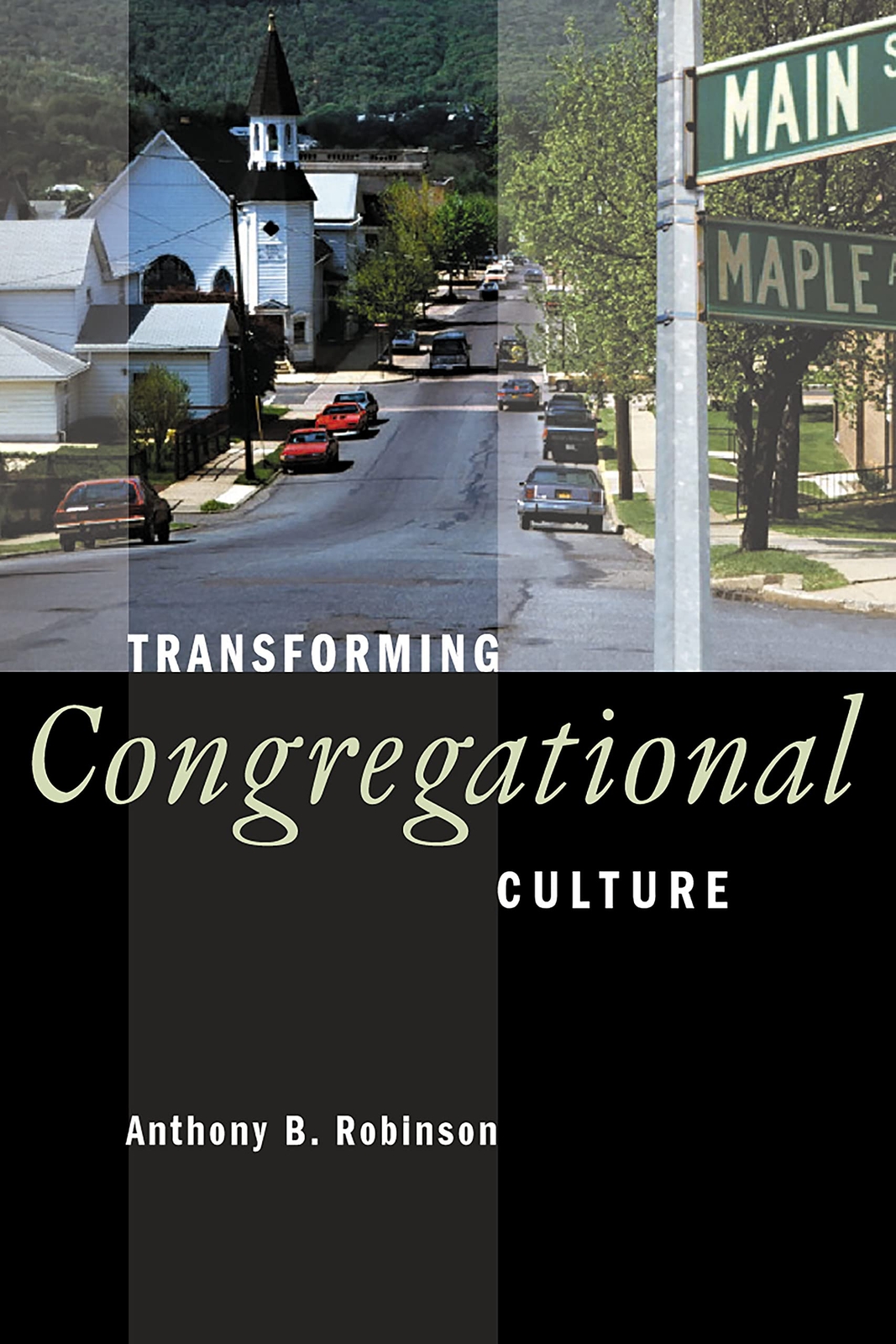 Transforming Congregational Culture by Anthony Robinson