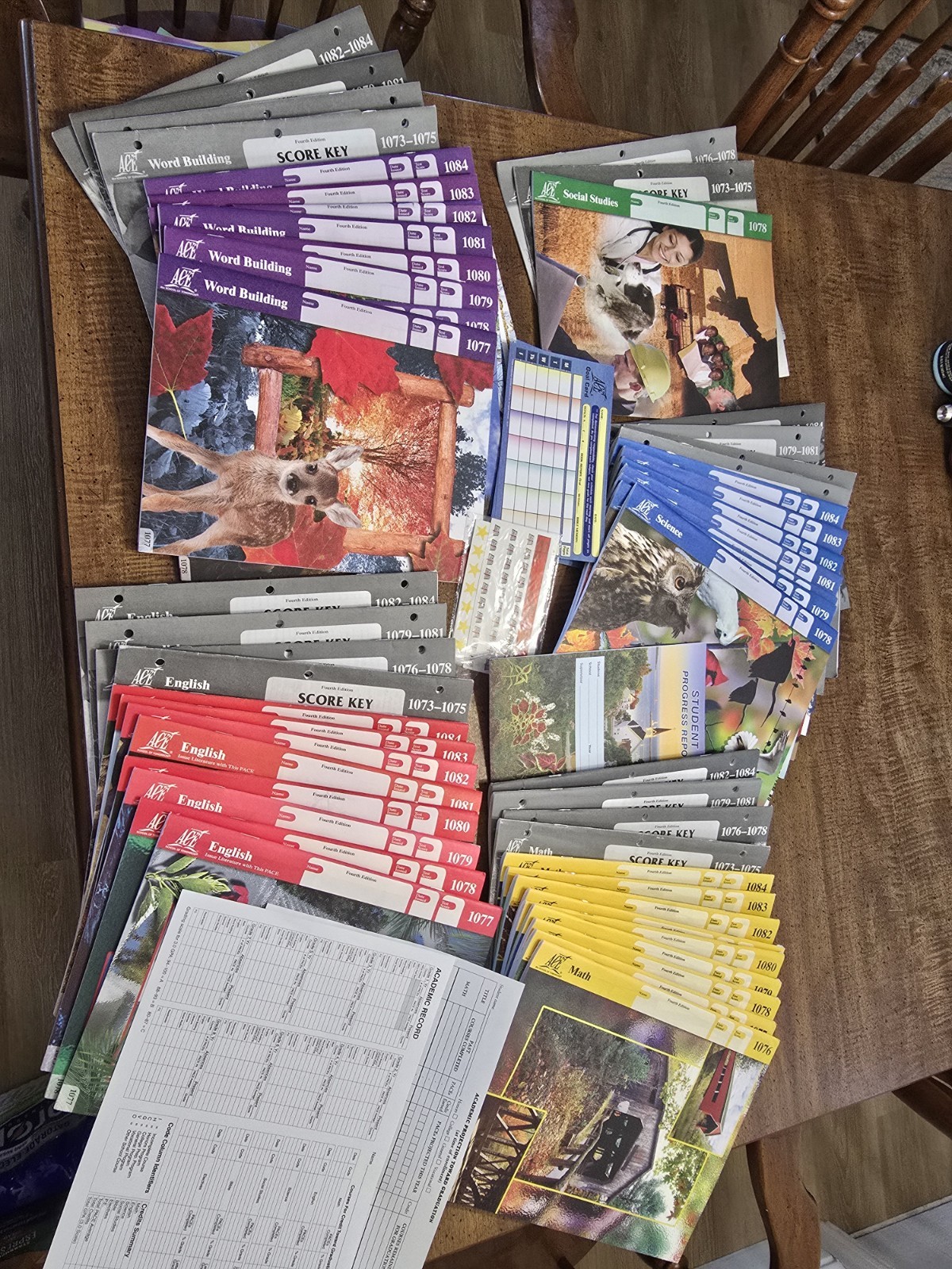 ACE Workbooks Word Building English Math Science Social Studies Score Key