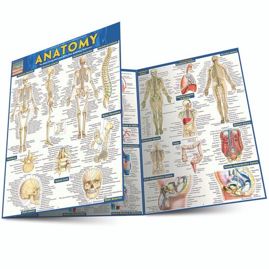 Complete Set study & Reference Guide Package 44 Titles